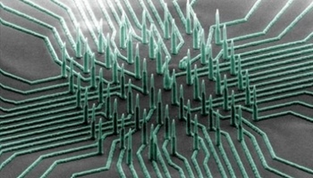 В России создали уникальные наноэлектроды для гибкой электроники